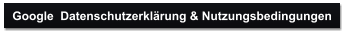 Google  Datenschutzerklärung & Nutzungsbedingungen